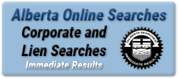 Registry Search online